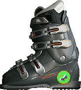  �/������ ������� Salomon IRONY. ��������� �����������...(195kb) 