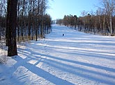 ���� ������� ��������, 23.02.2006�.  ��������� �����������...(272kb)
