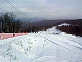 �������� BOARD-������ - 25.02.2006�. (29���).  �������� ����������...(7,5Mb)